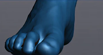 Numérisation 3D haute résolution d'un pied humain